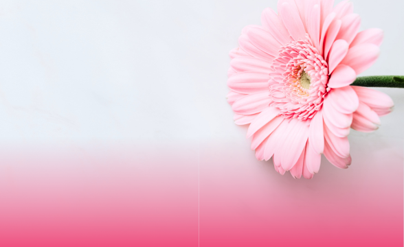 новая палитра от revlon